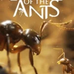 Empire of the Ants (2024)
